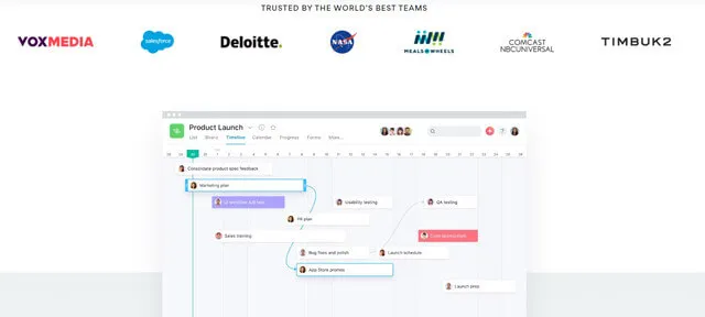 Asana project management platform