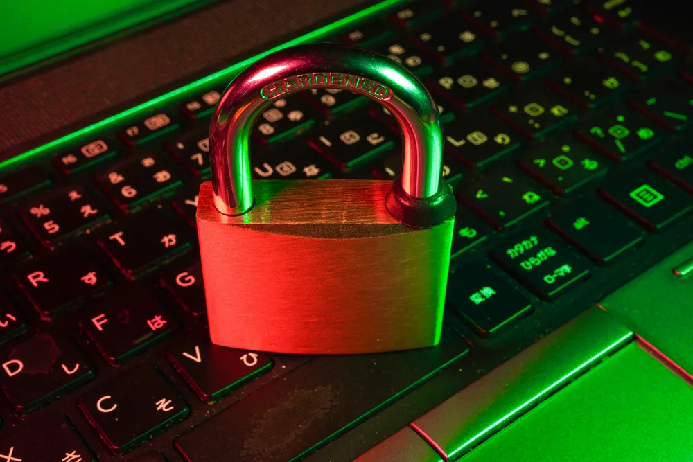 A lookalike web address is the cheapest attack surface anyone has against a brand
