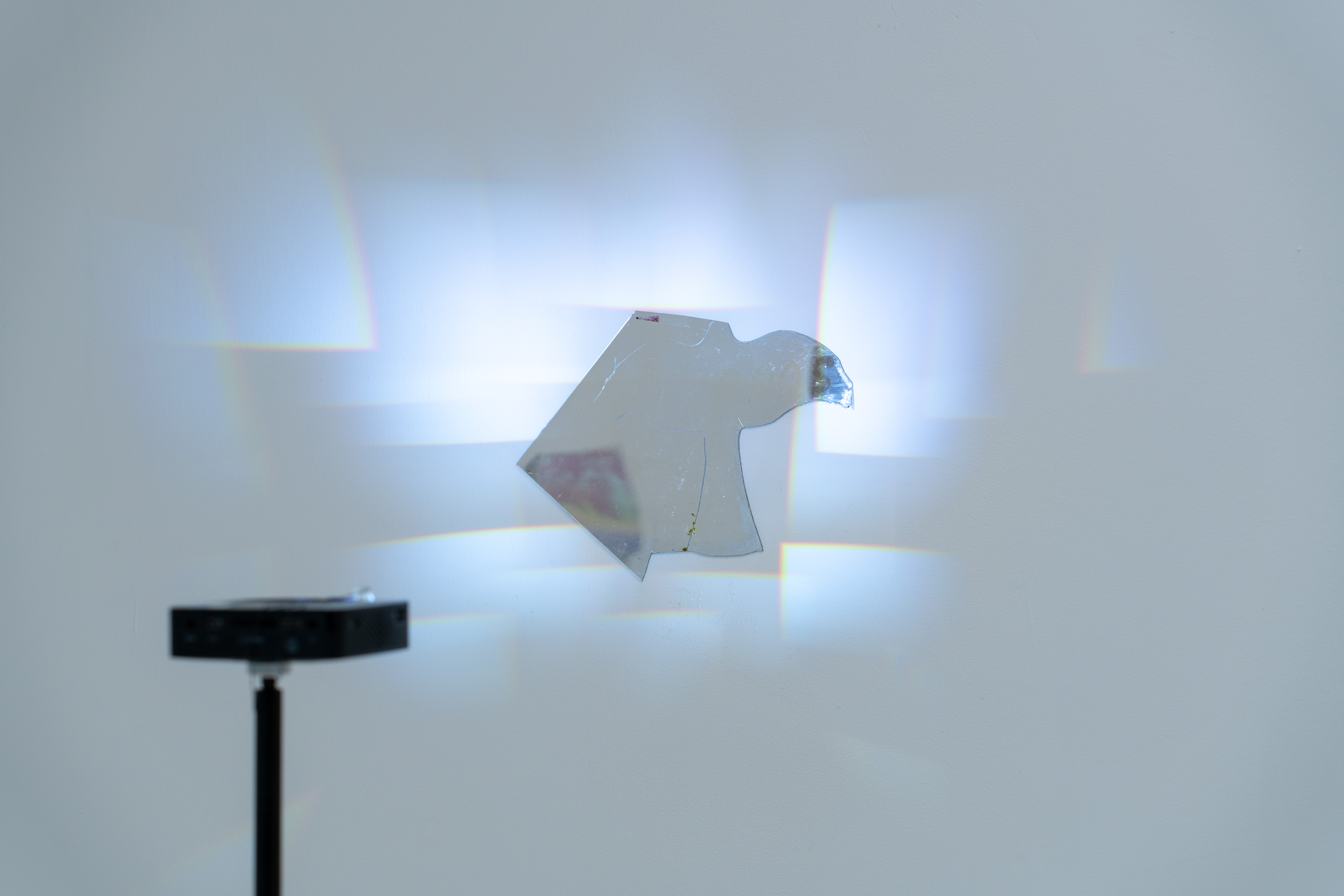 relation drama.. projection on acrylic mirror.. mic stand 160 cm.. projection 25 × 38 cm