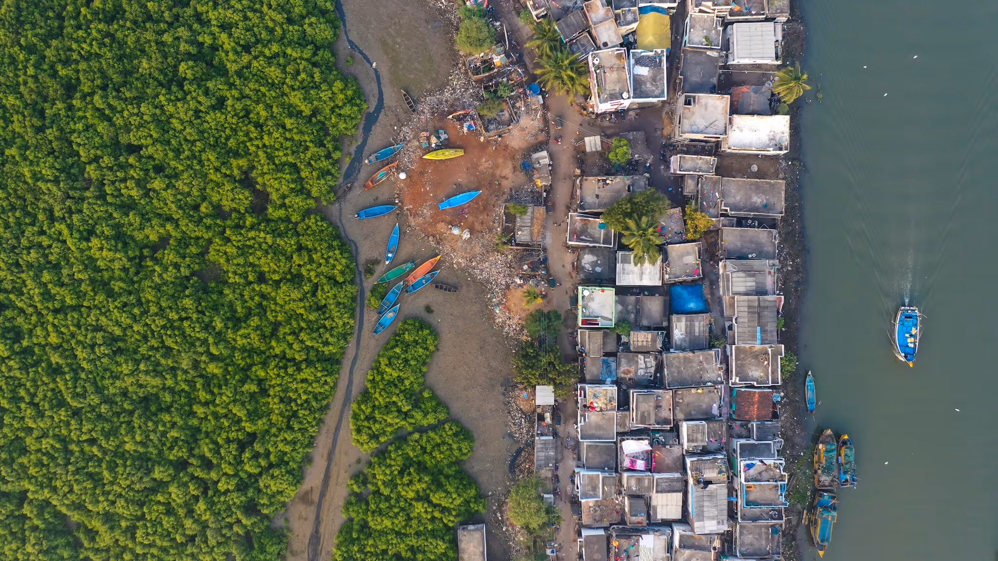 Concrete Jungle - Srikanth Mannepuri, India