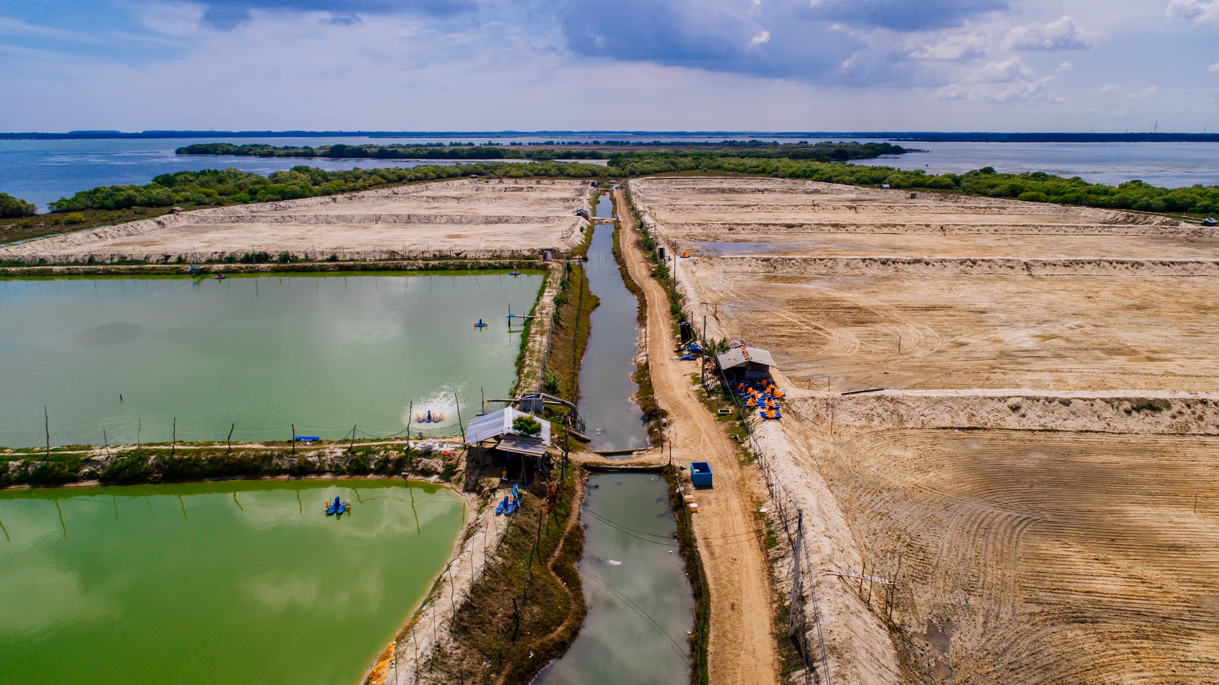 Illegal Shrimp Farm - Scott M Salt, Sri Lanka