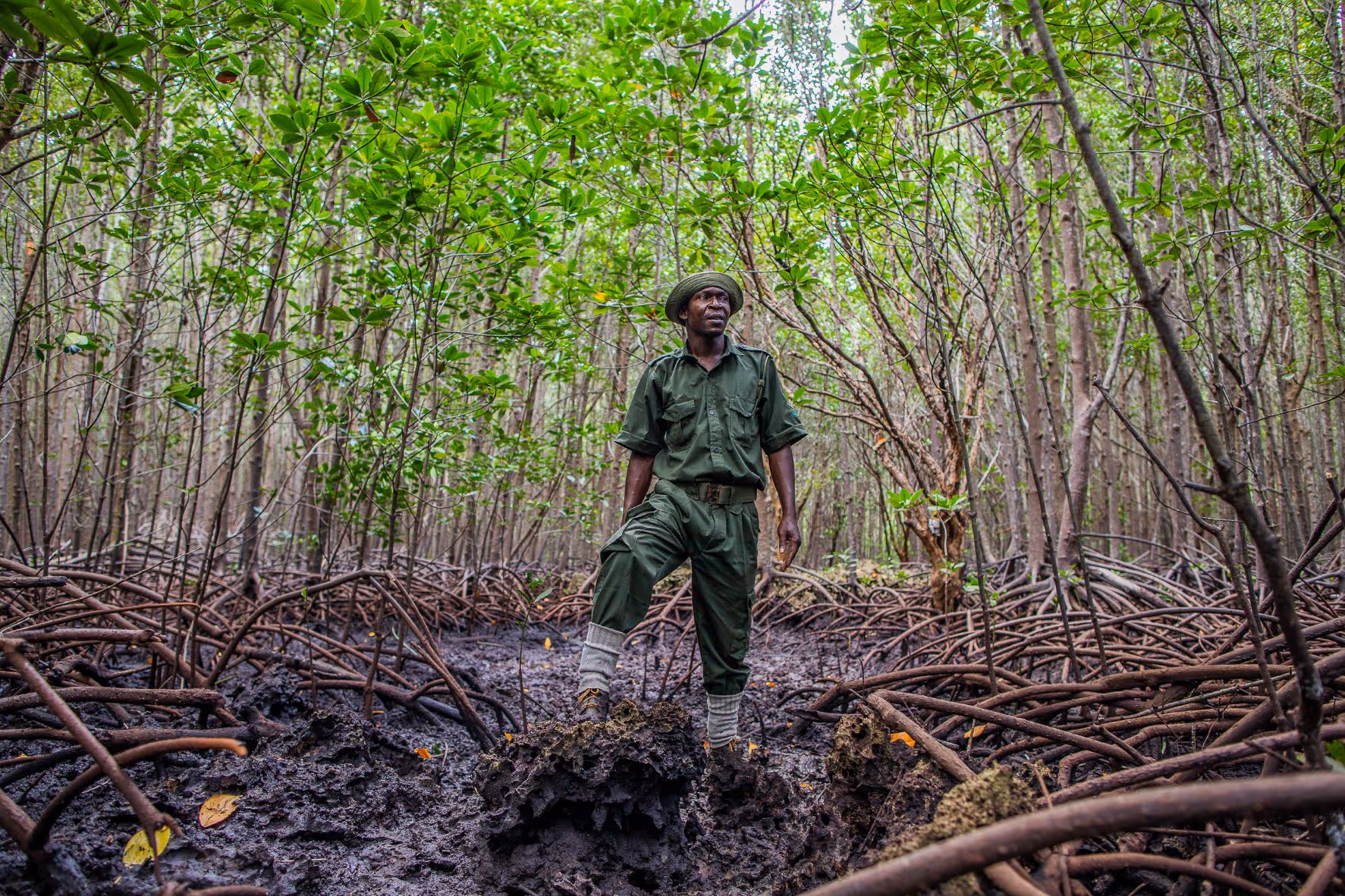 The Mangrove Protector - Anthony Ochieng, Kenya