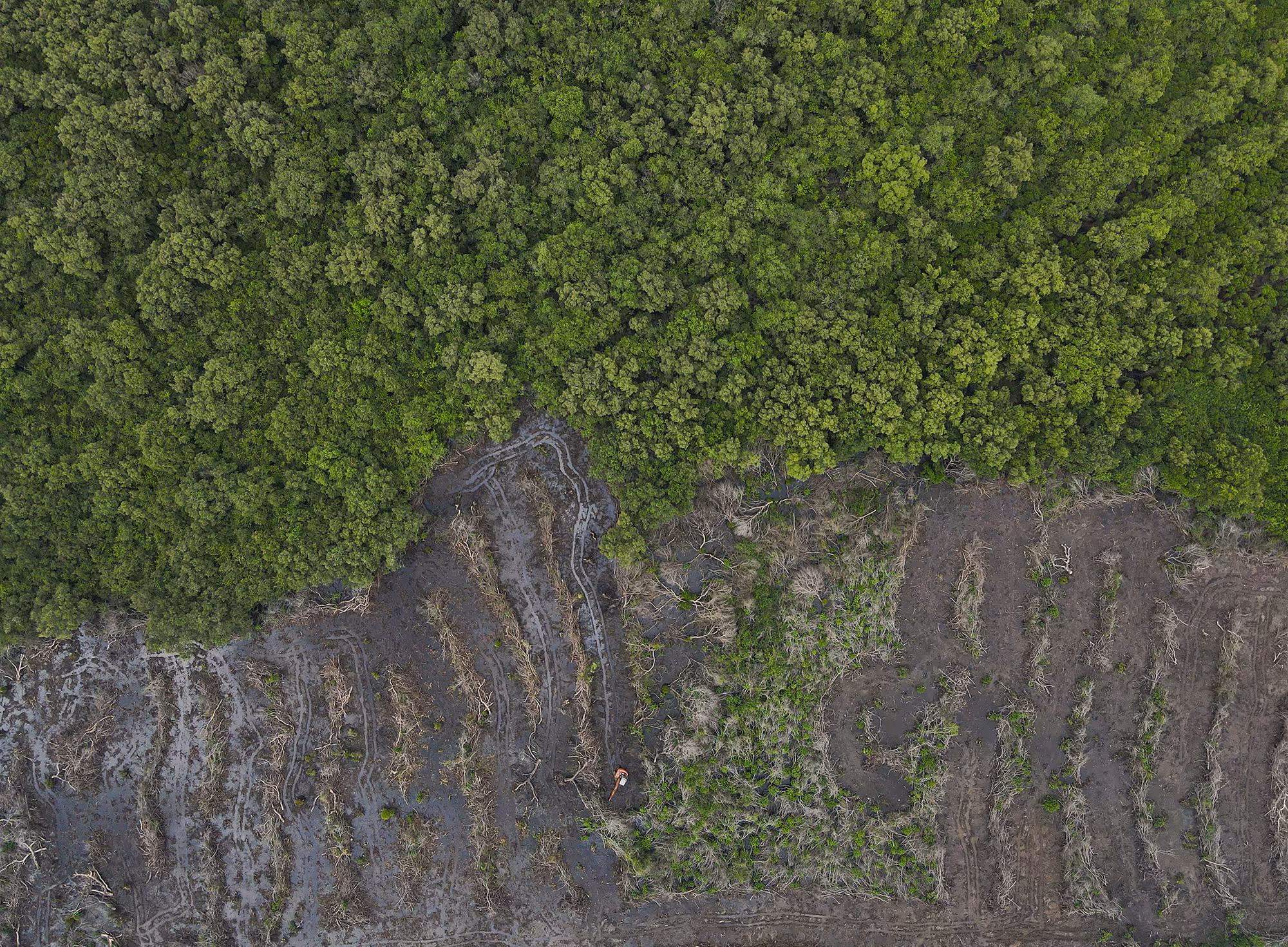 What’s Popping? – Lucas Oh Hao Xiang, Singapore