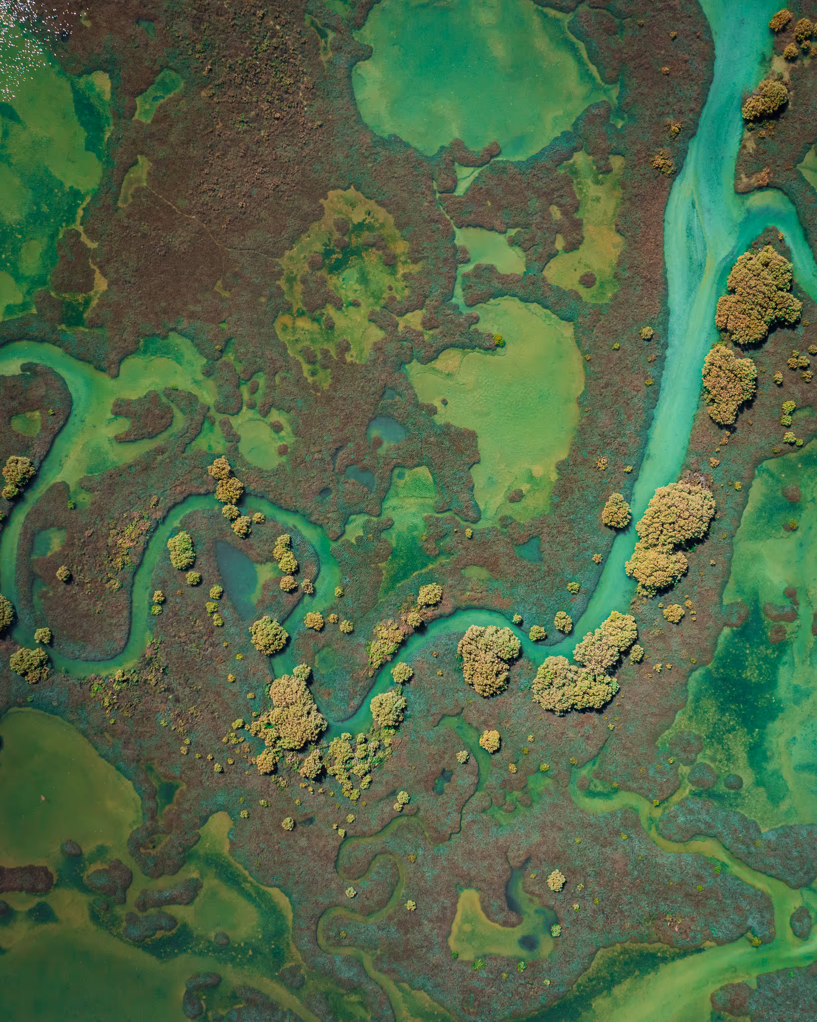 Guardians of the Bay – Highly Commended - Jake Mason, Australia