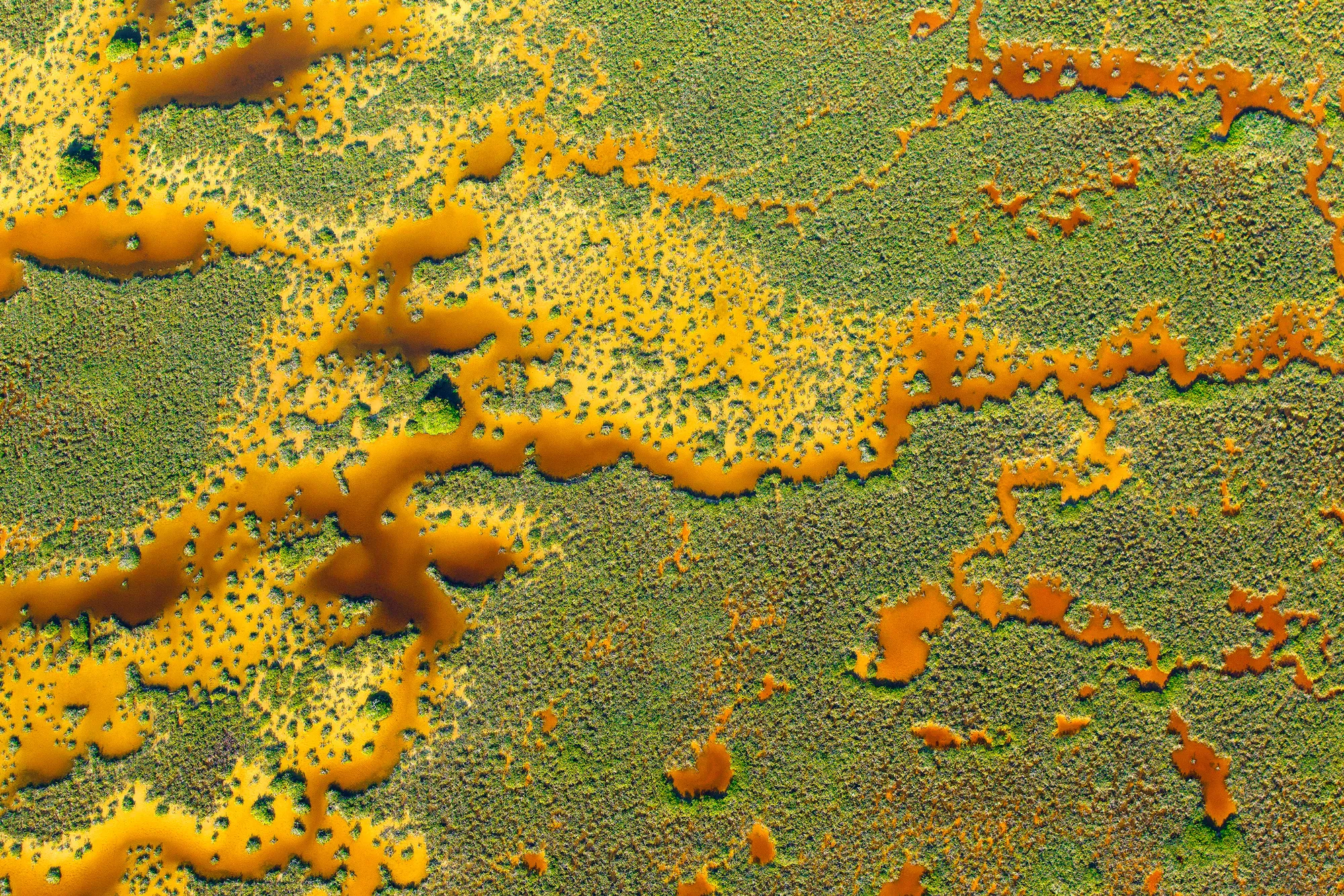 Sian Kaan’s Orange Carpet - Runner Up - Santiago Gibert Isern, Mexico