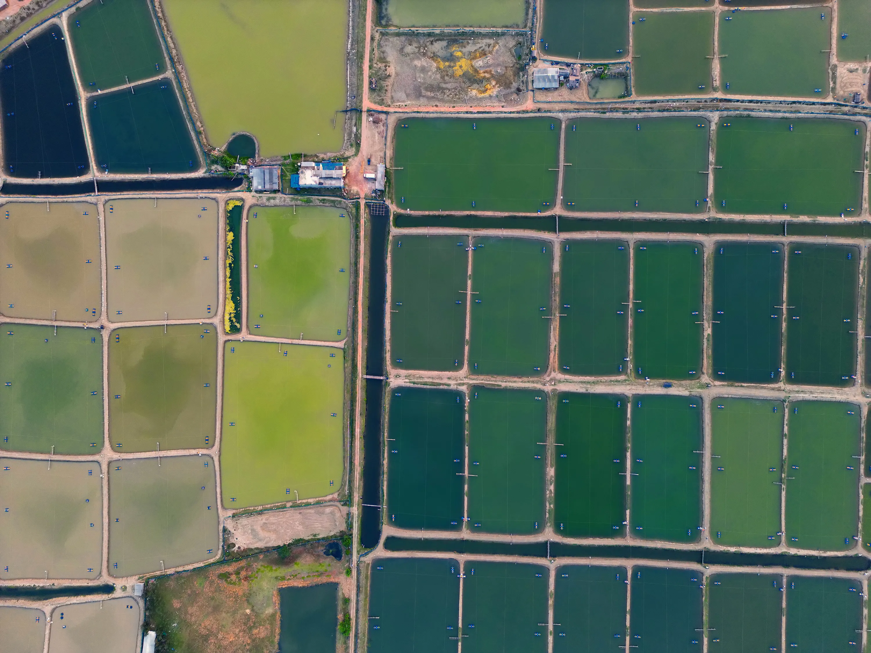 Slow Poison - Highly Commended - Kallol Mukherjee, India