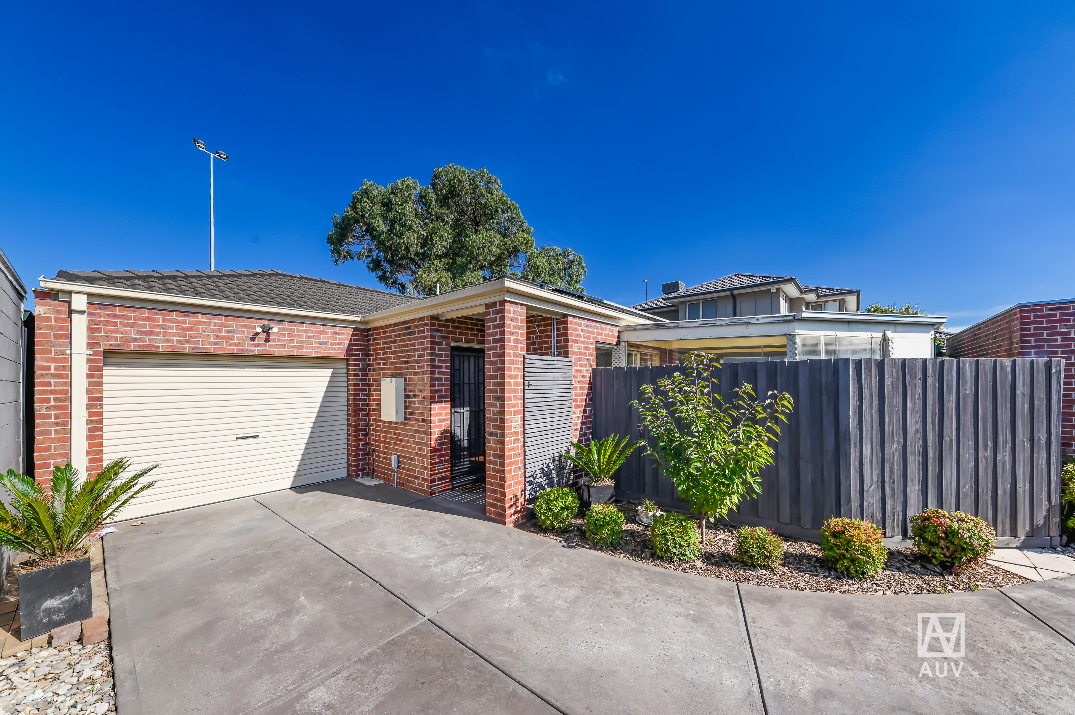 1244 Centre Road, Clayton South - Thumbnail 5