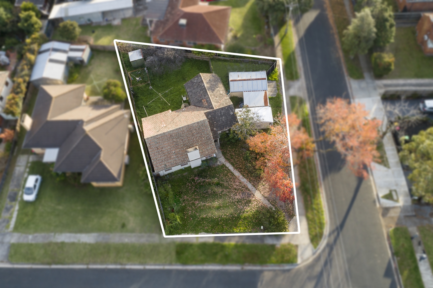 25 Boronia Street, Bentleigh East - Thumbnail 2