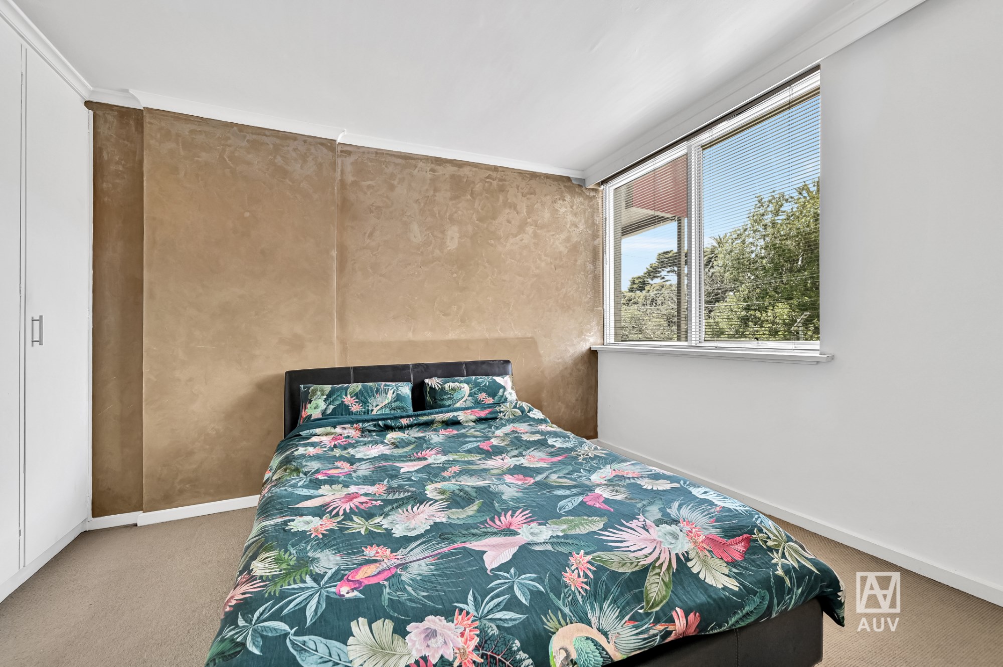 2/75 Hotham Street, Balaclava - Thumbnail 5