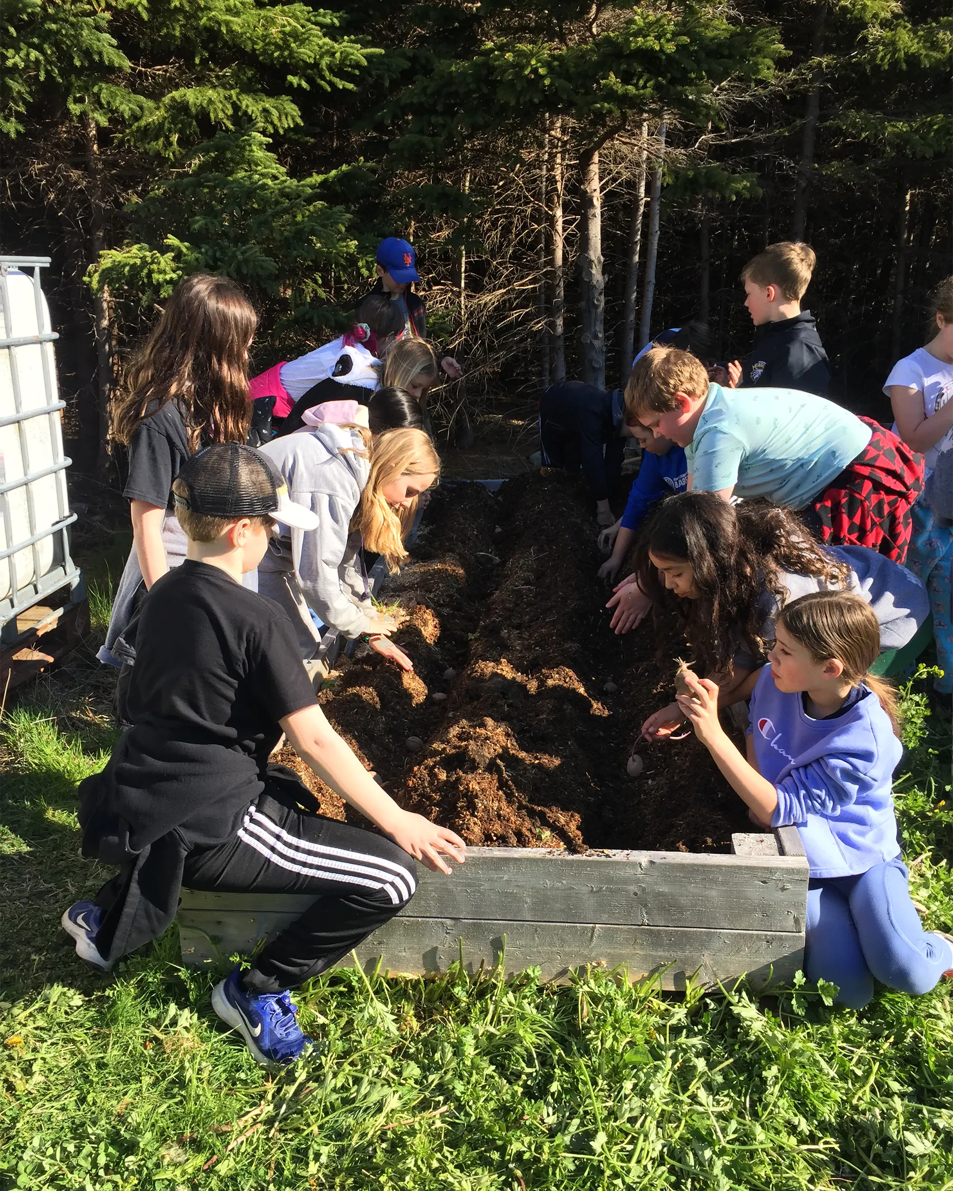 A group of children lean over a raised garden bed as they dig trenched with their hands in preparation to plant something.
