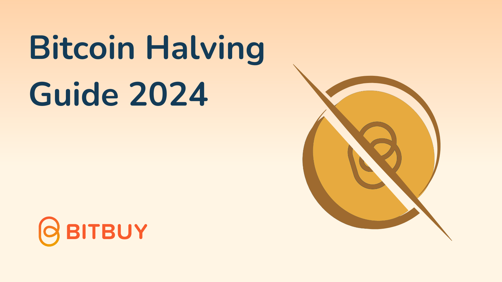 Bitcoin Halving Guide - Bitbuy