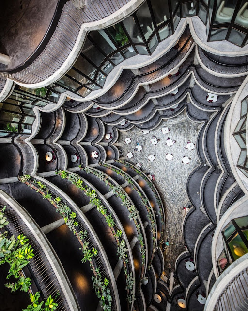 The Hive - Tòa nhà hình giỏ Dimsum độc lạ ở Singapore ảnh 7