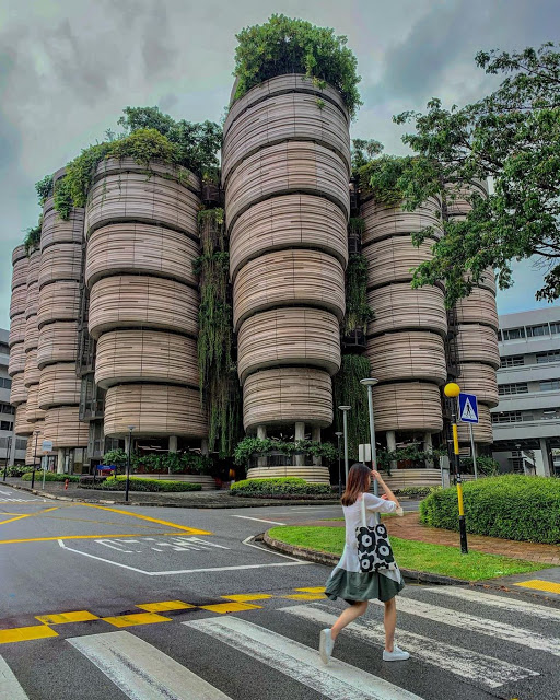 The Hive - Tòa nhà hình giỏ Dimsum độc lạ ở Singapore ảnh 5