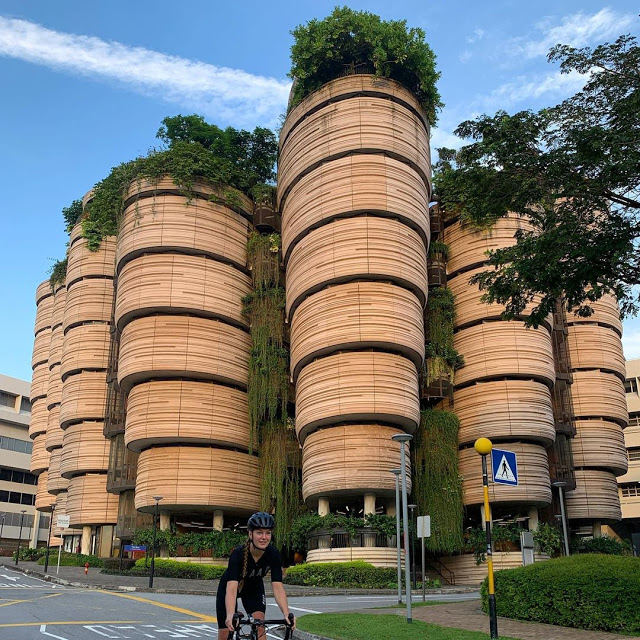 The Hive - Tòa nhà hình giỏ Dimsum độc lạ ở Singapore ảnh 6