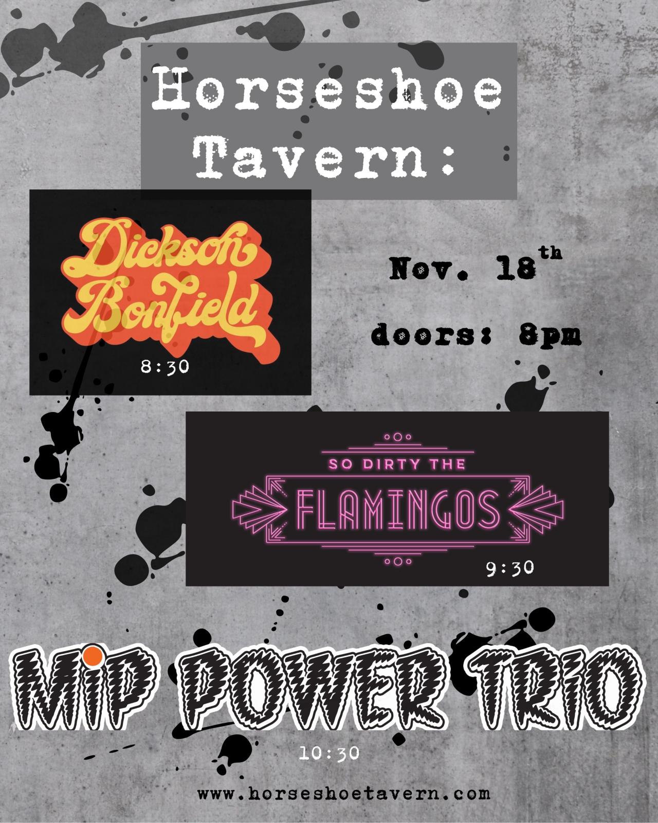 Dickson Bonfield | So Dirty The Flamingos | Mip Power Trio