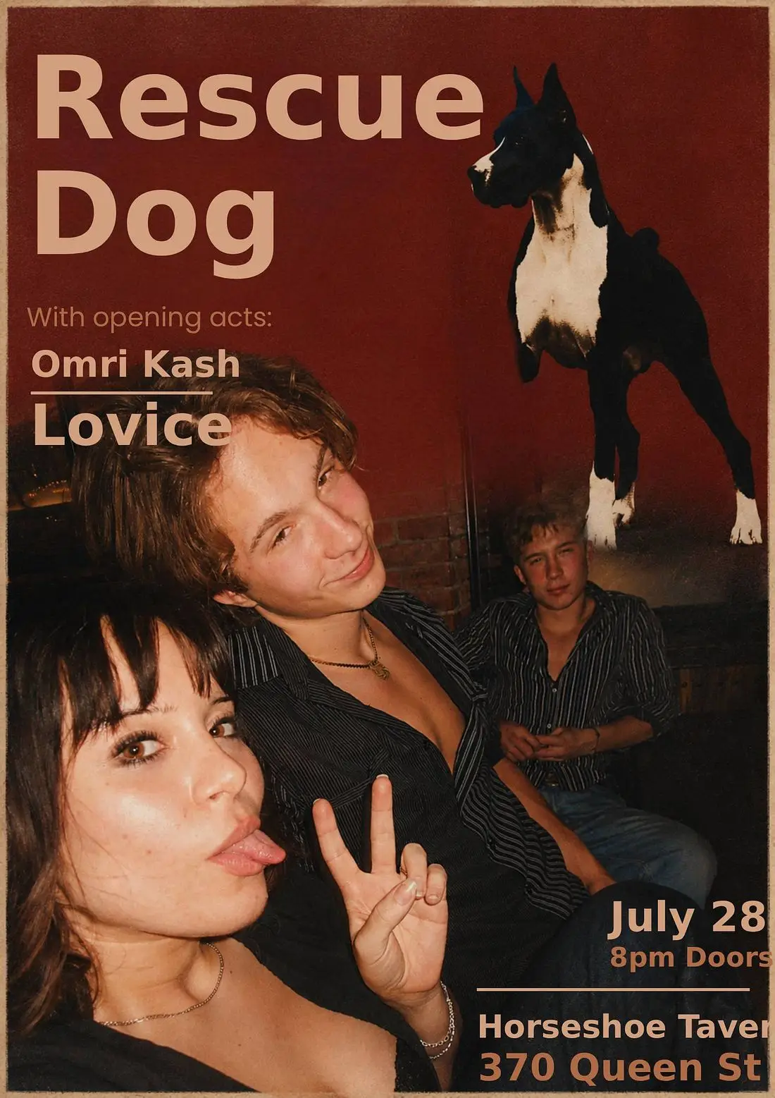 UNCOVERED: DOG RESCUE | OMRI KASH | LOVICE