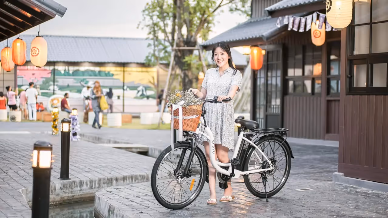 จักรยานไฟฟ้าผ่อนได้ รุ่น DYU C6