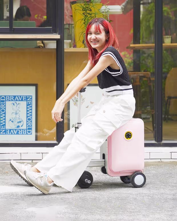 Electric luggage Category