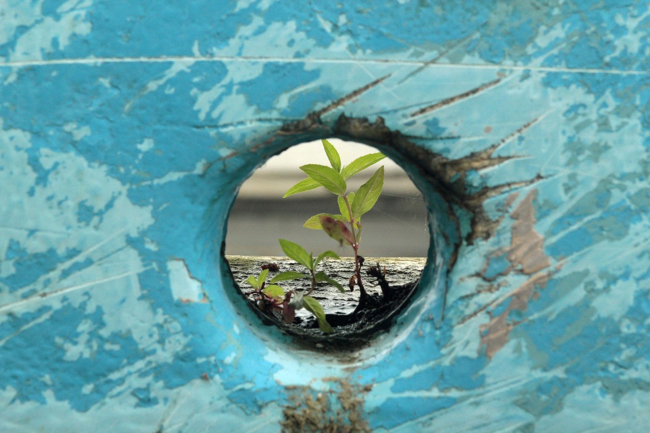 The need for resilience in December