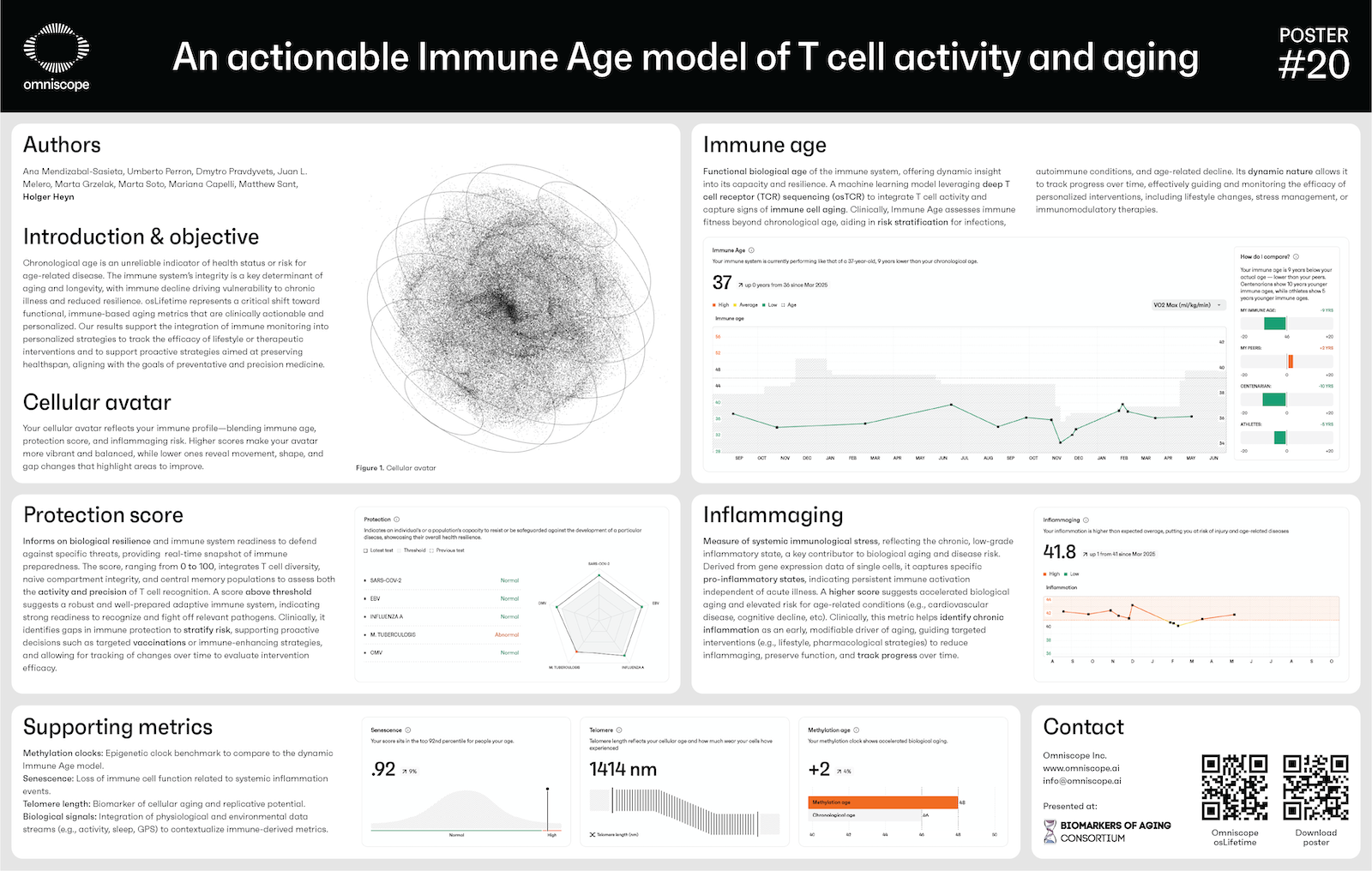 An actionable Immune Age model of T cell activity and aging