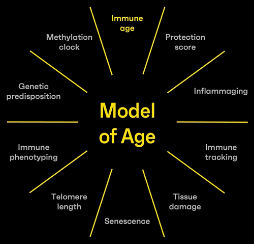 Omniscope introduces Model of Age. Immune system hallmarks of aging.