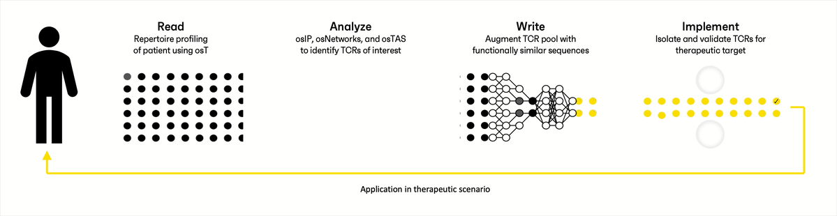 ImmuneGPT for TCR-T design - accelerate your therapeutic development