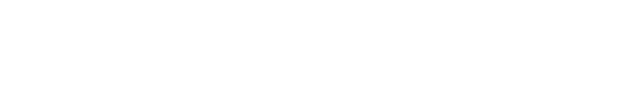 autozone logo
