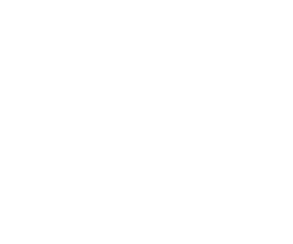 ernst & young logo