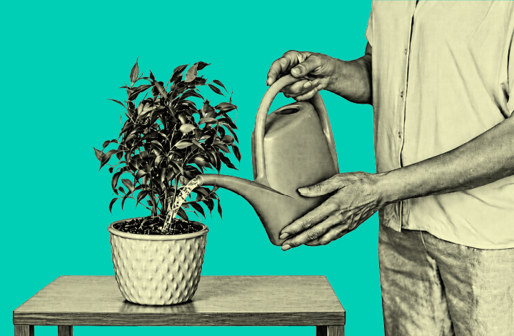 Donor stewardship beyond the thank-you: impact, stories, trust and participation