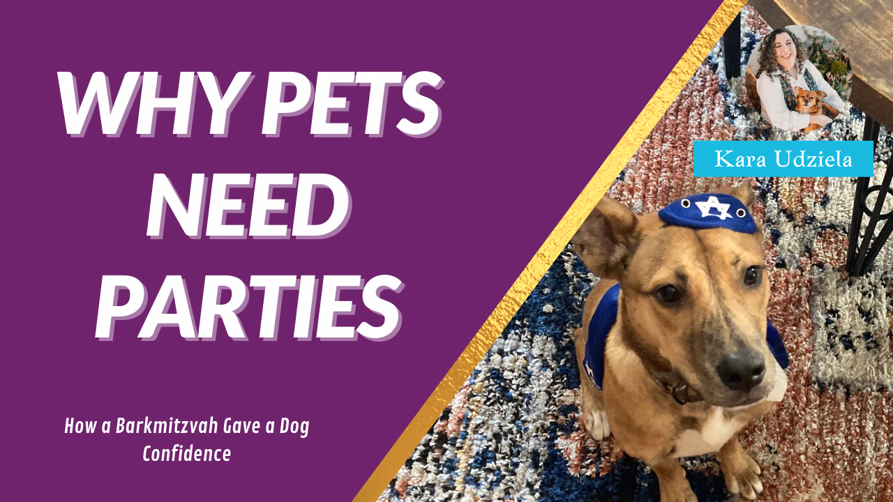 Anxious Dog Improves Through a Barkmitzvah and Caring Owners