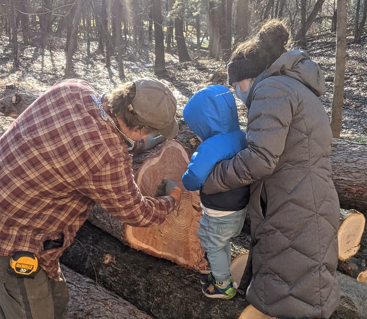 Kurt counting tree rings for Ezra