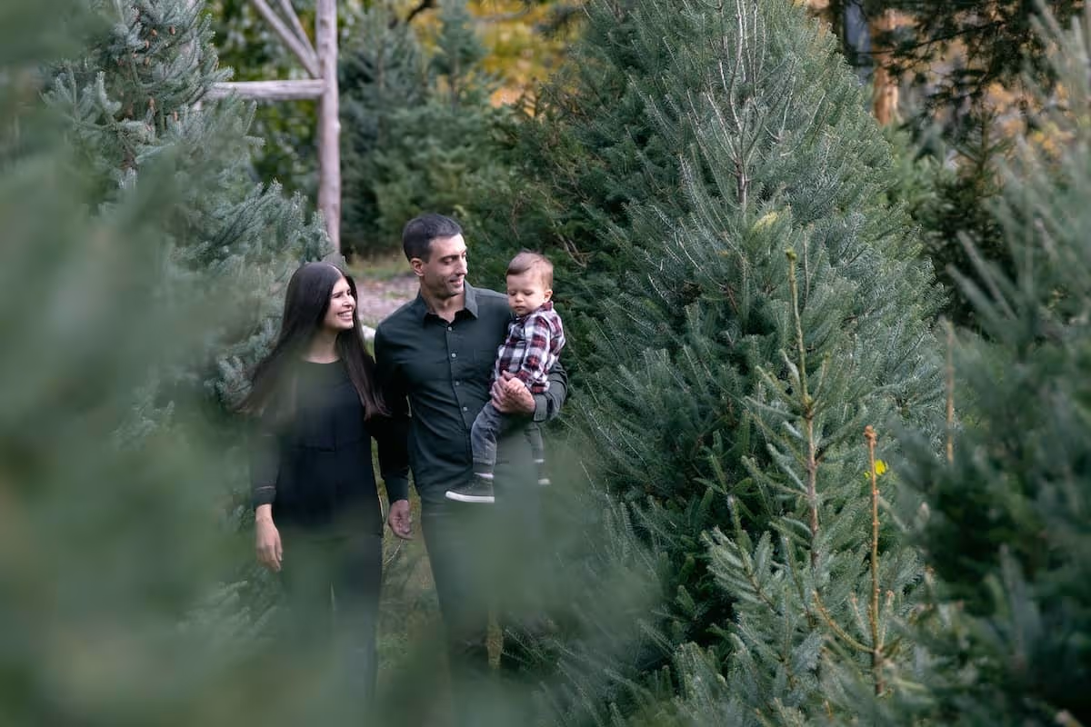 Holiday photography in warwick, ny for professional photographers