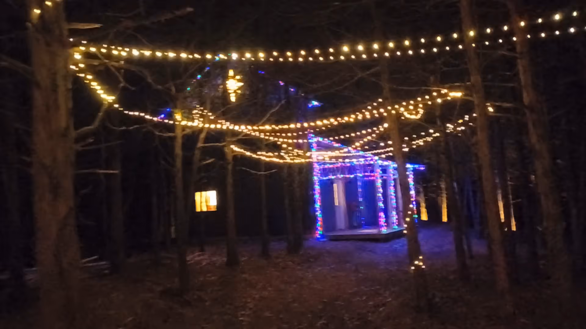 Small cabin in a forest decorated with colorful Christmas lights and strings of warm white lights hanging overhead at night.