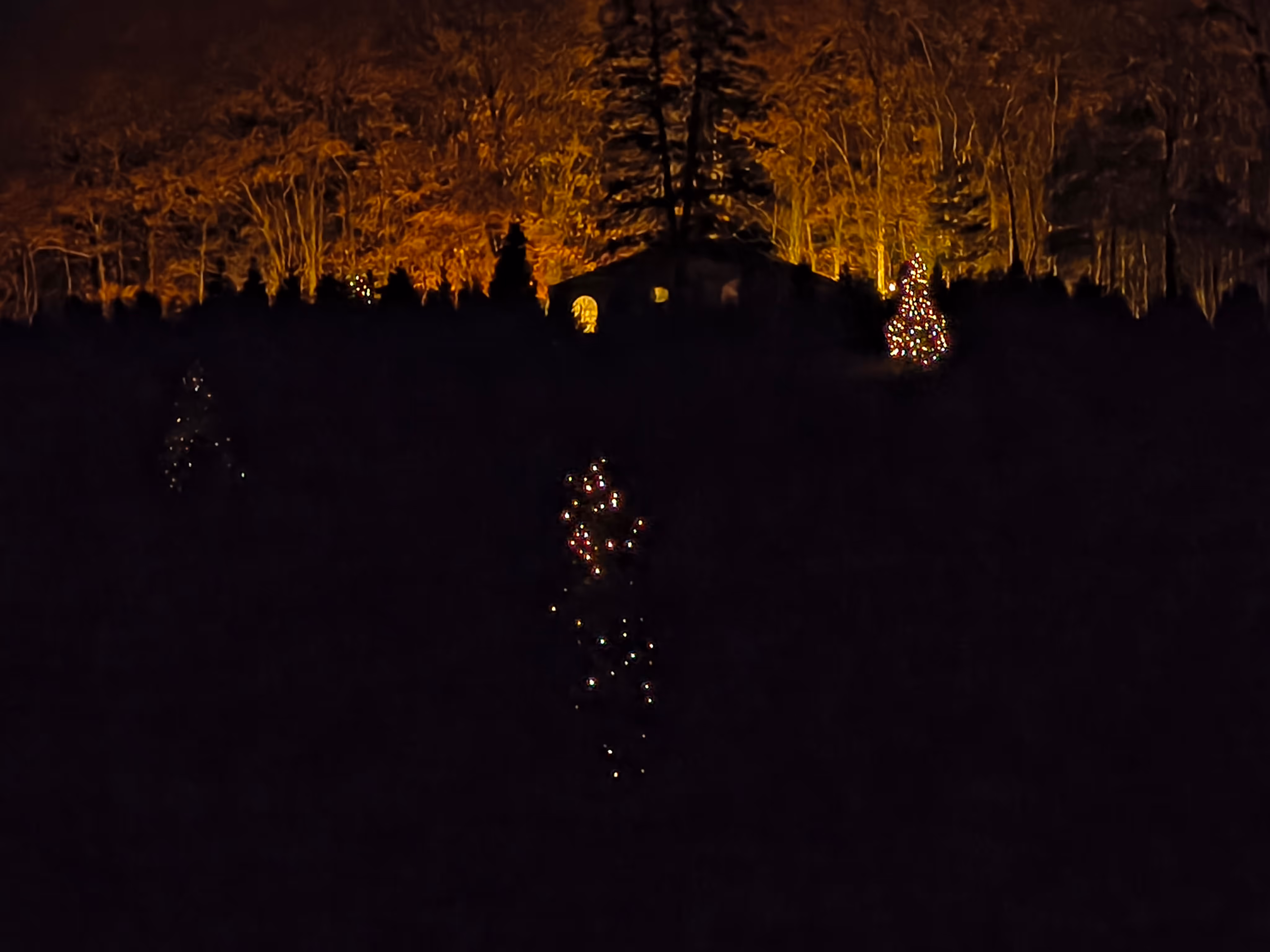 Night scene with a house surrounded by trees lit with warm yellow lights and decorated Christmas trees with colorful lights in the foreground.