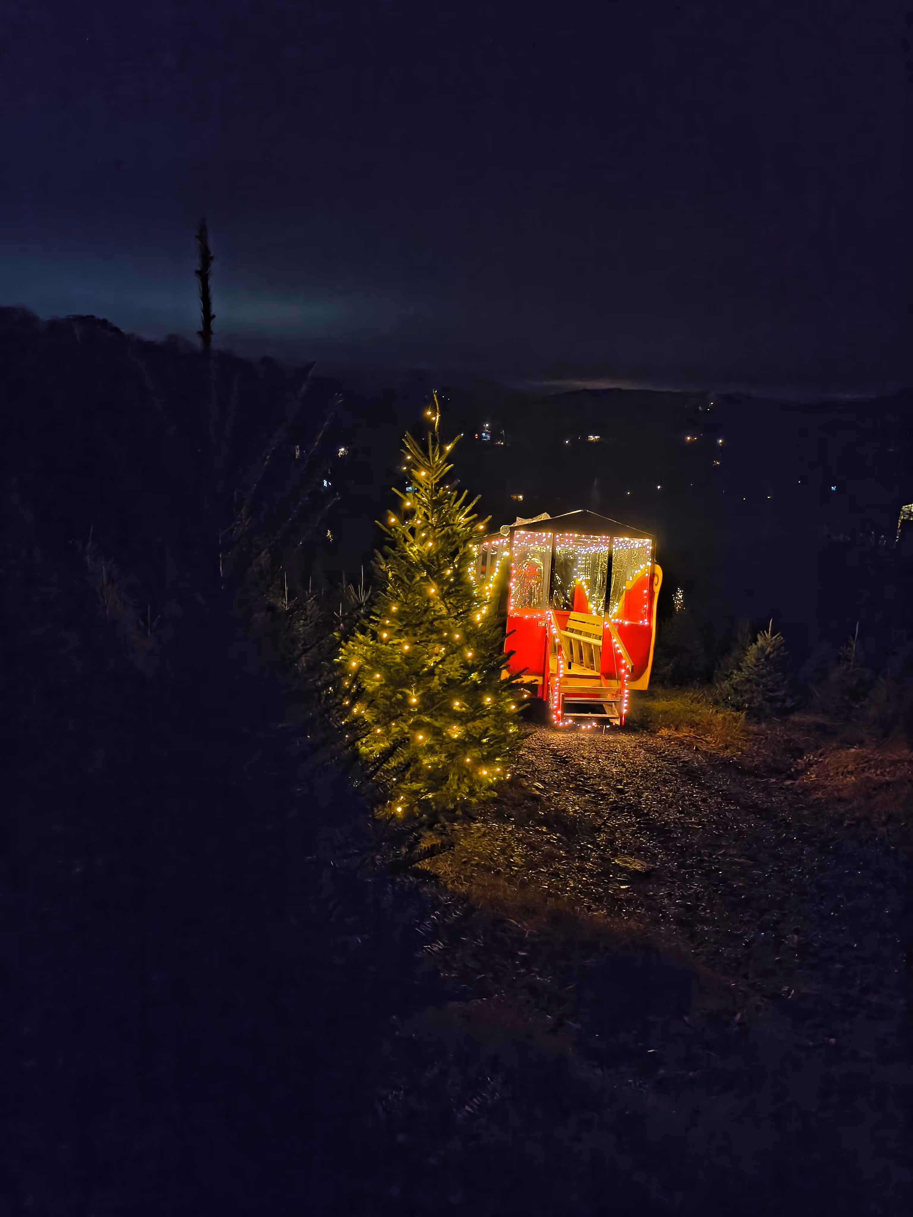 Christmas tree decorated with yellow lights next to a small red carriage decorated with string lights at night.
