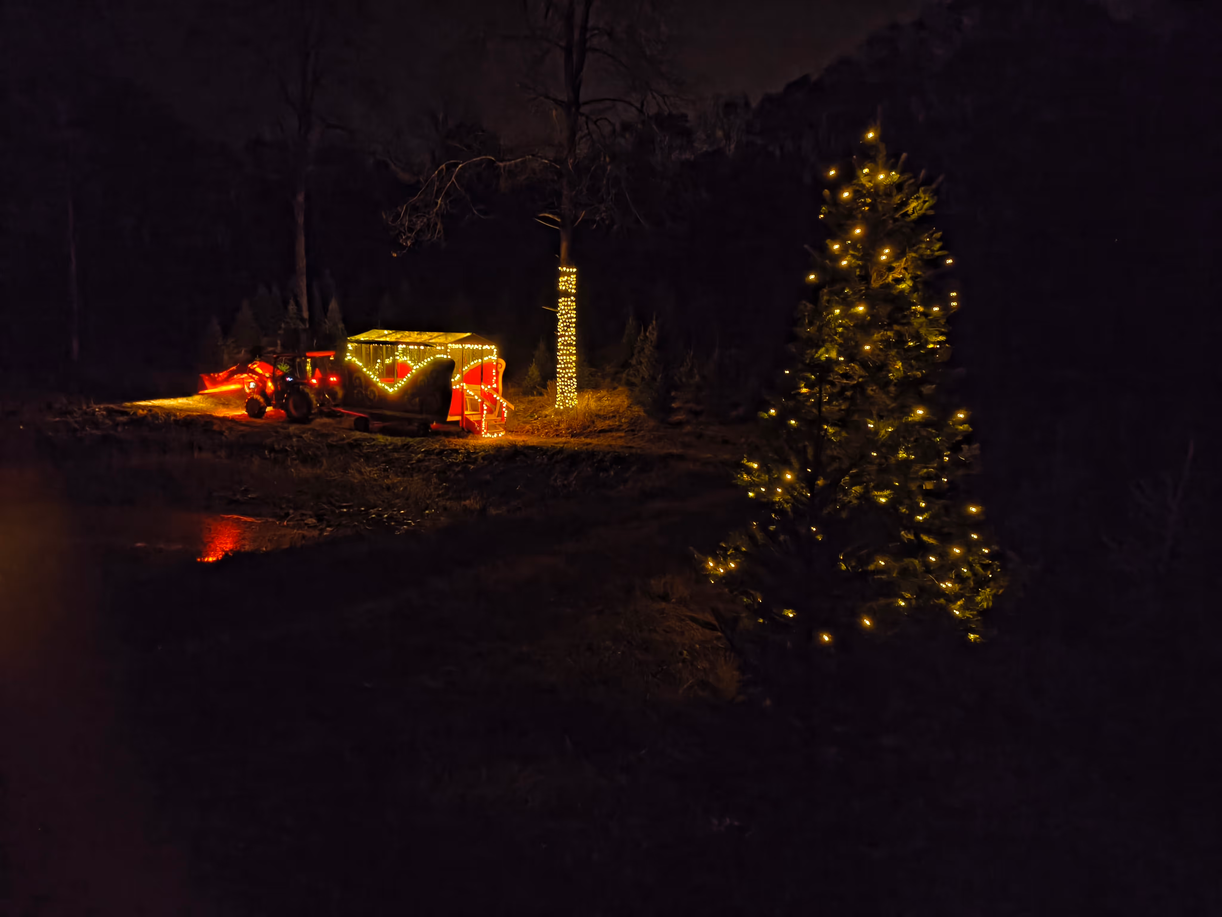 Tractor pulling a sleigh lit with Christmas lights near a tree wrapped in lights and a lit Christmas tree at night.
