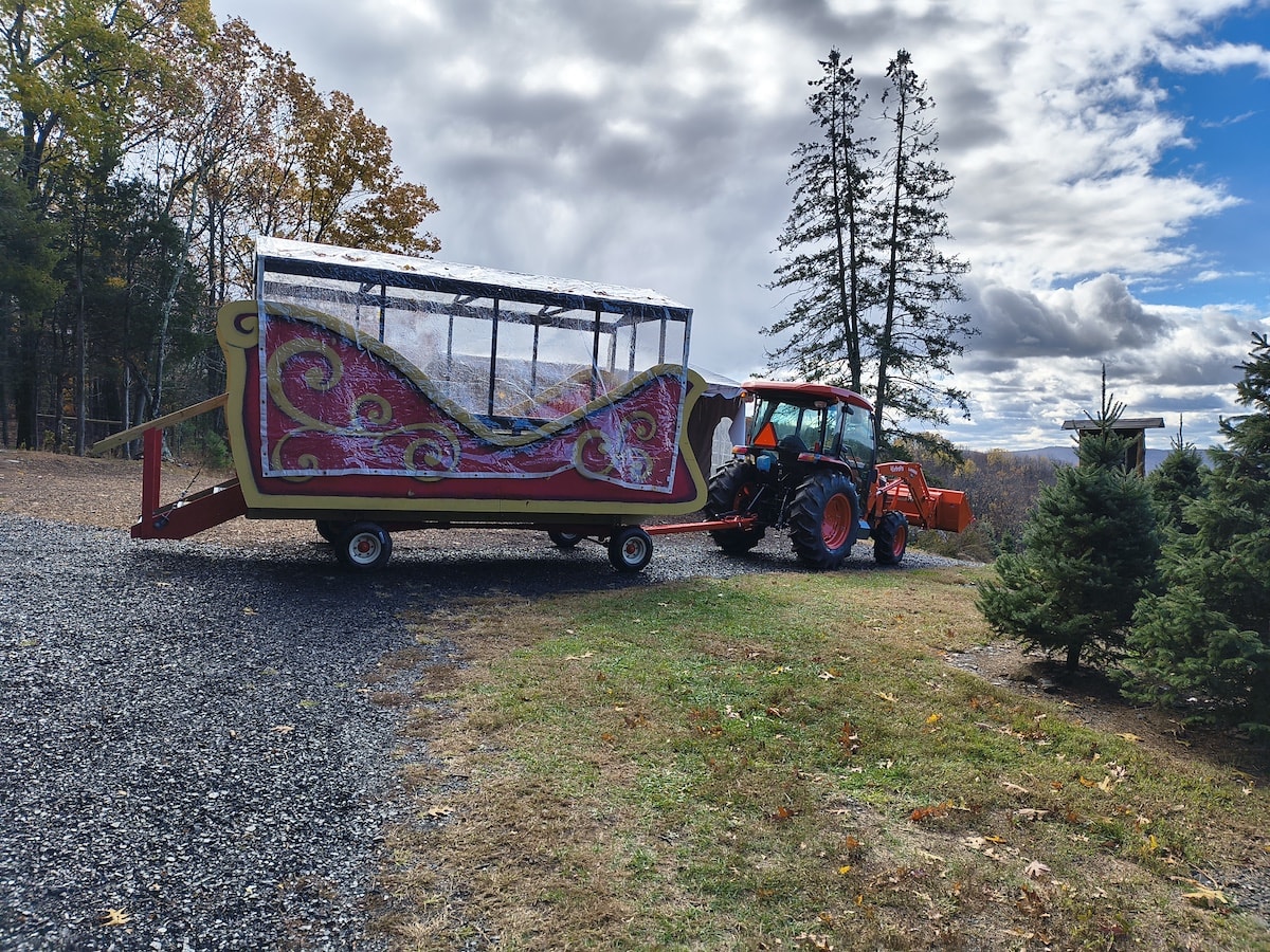 Red tractor towing a large festive sleigh decorated with gold swirls on a gravel and grass area under a cloudy sky.
