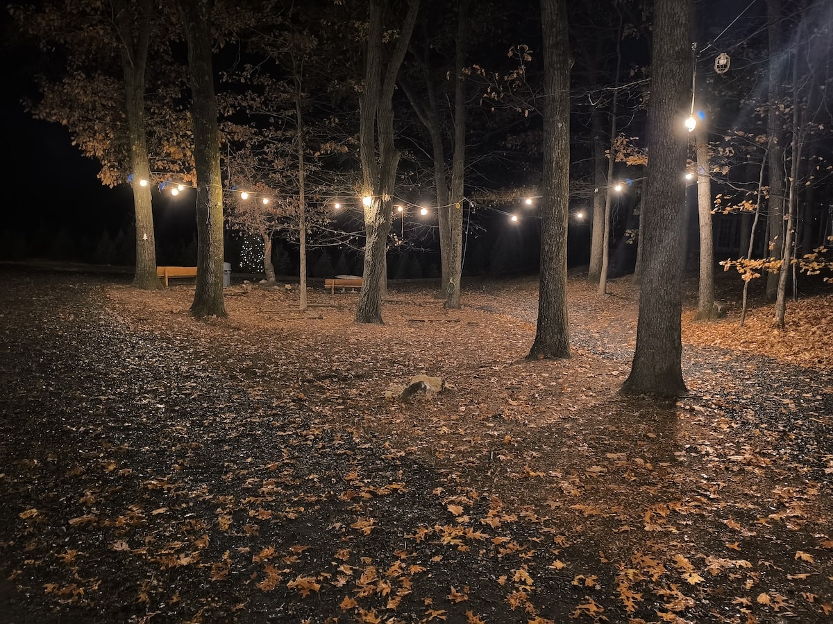 Night scene of a wooded area with leaf-covered ground, string lights hung between trees, and two benches in the background.