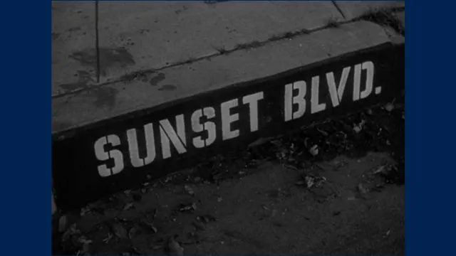 Analysis of Film Techniques in Sunset Boulevard by Billy Wilder