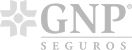 GNP Seguros company logo.