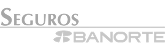 Banorte Seguros logo combining the text 'Seguros' and the Banorte brand with a stylized emblem.