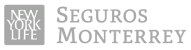 Seguros Monterrey logo