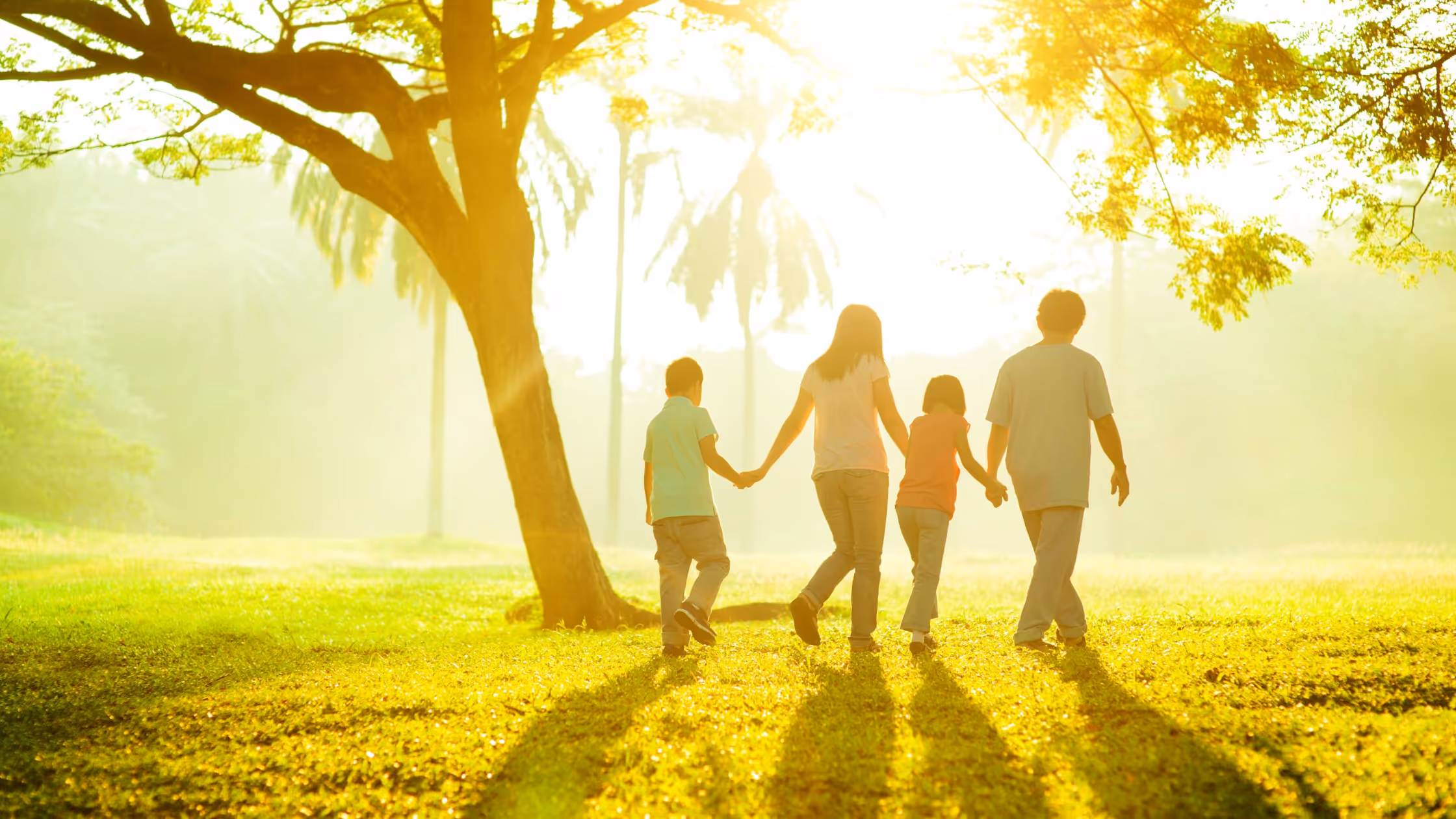 Westside Development Corporation announces the launch of the Big Sun Community Solar Assistance program