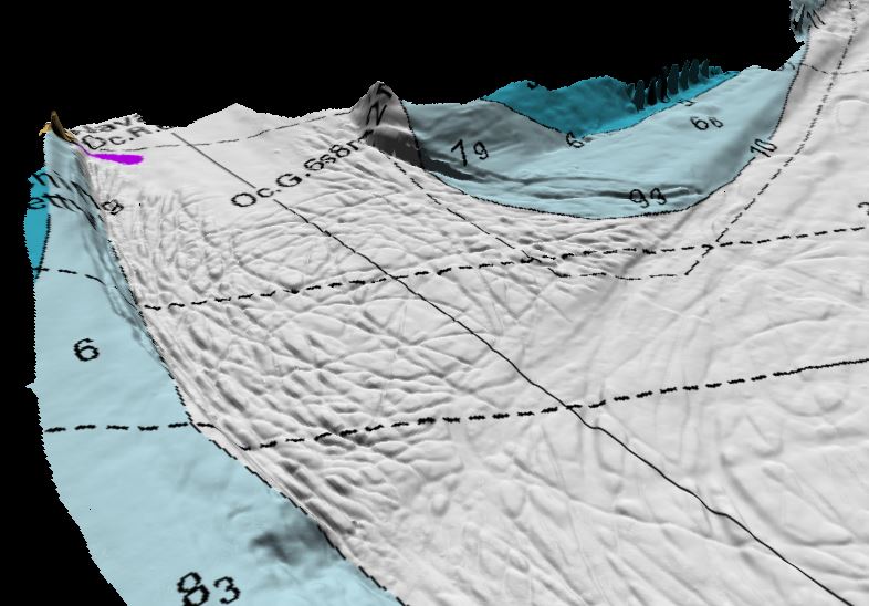 Scientific image of seabed