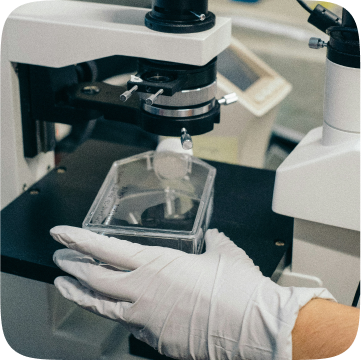 Facturación para clínicas, dentistas y centros de salud