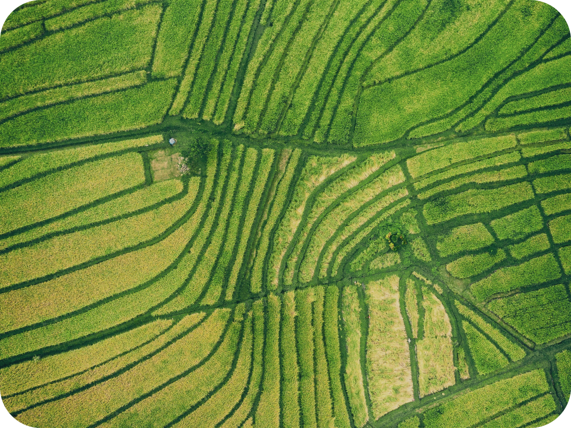 Software for manufacturing companies