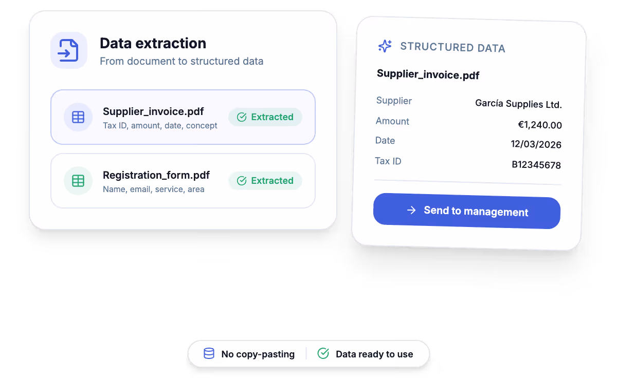 Custom document analysis system extracting data from a PDF and organising it into structured fields
