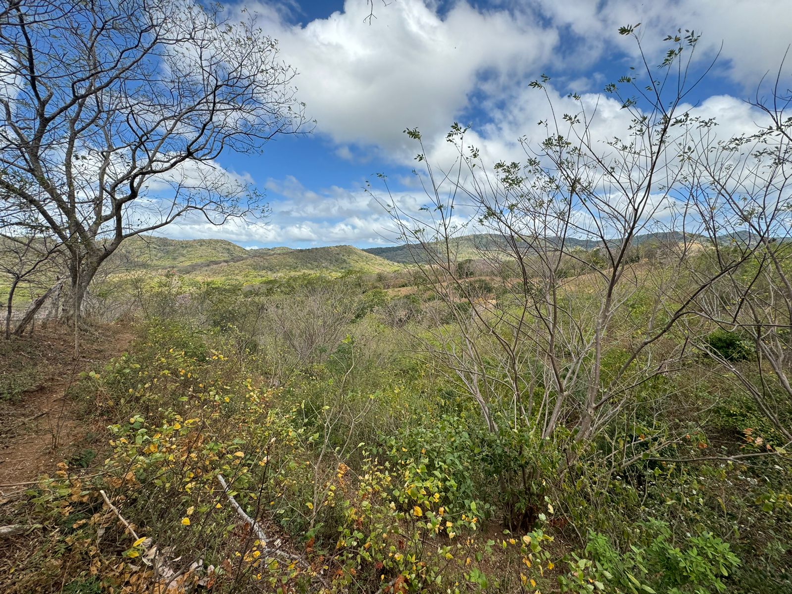 Land for Sale – Las Pampas de Escamequita