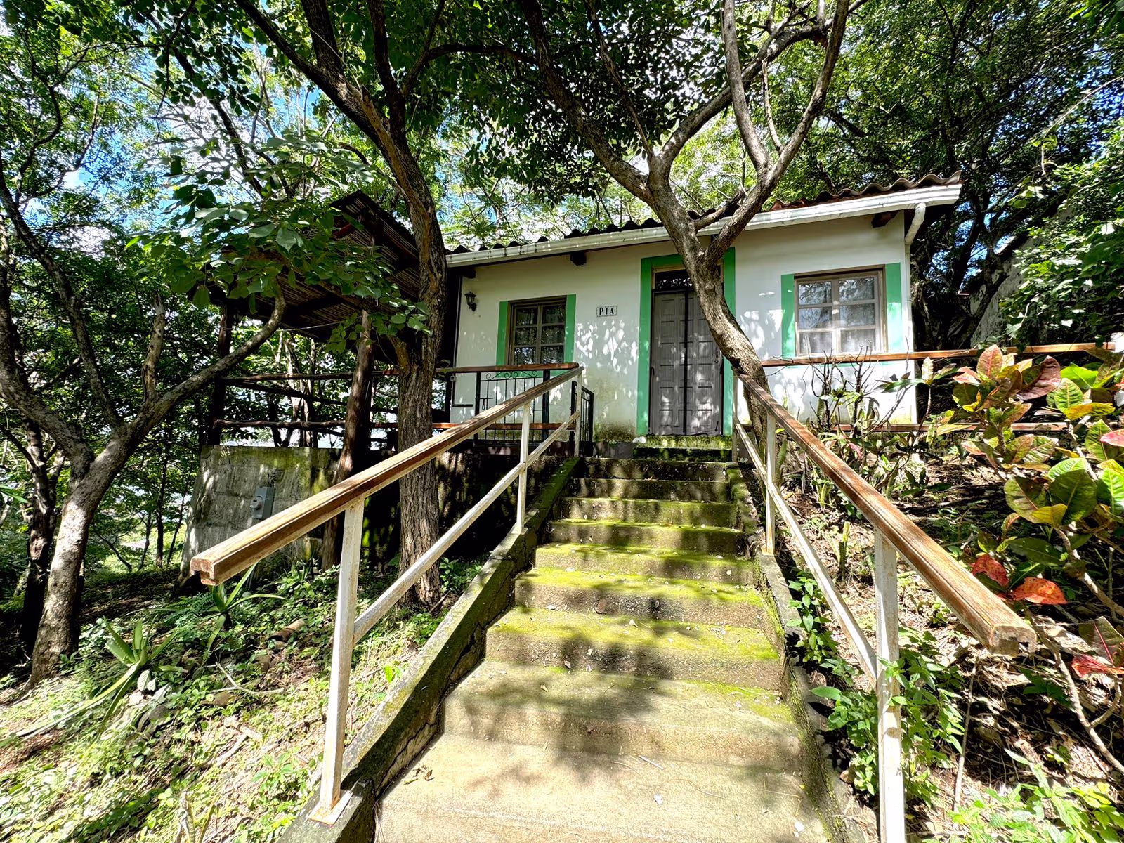 🌴 Casa Pia for Rent – $550/month