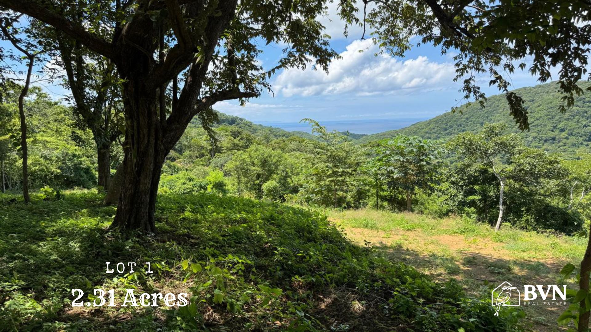 Lot 1 – Cortez Estates